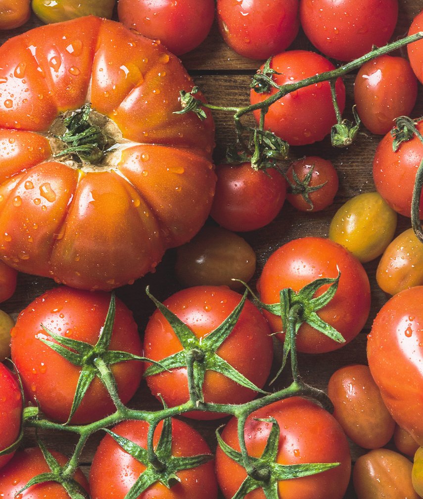 Frische Tomaten aus eigenem Anbau
