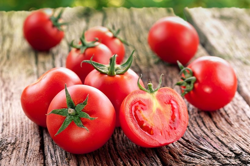 Tomaten lagern - Bild 1