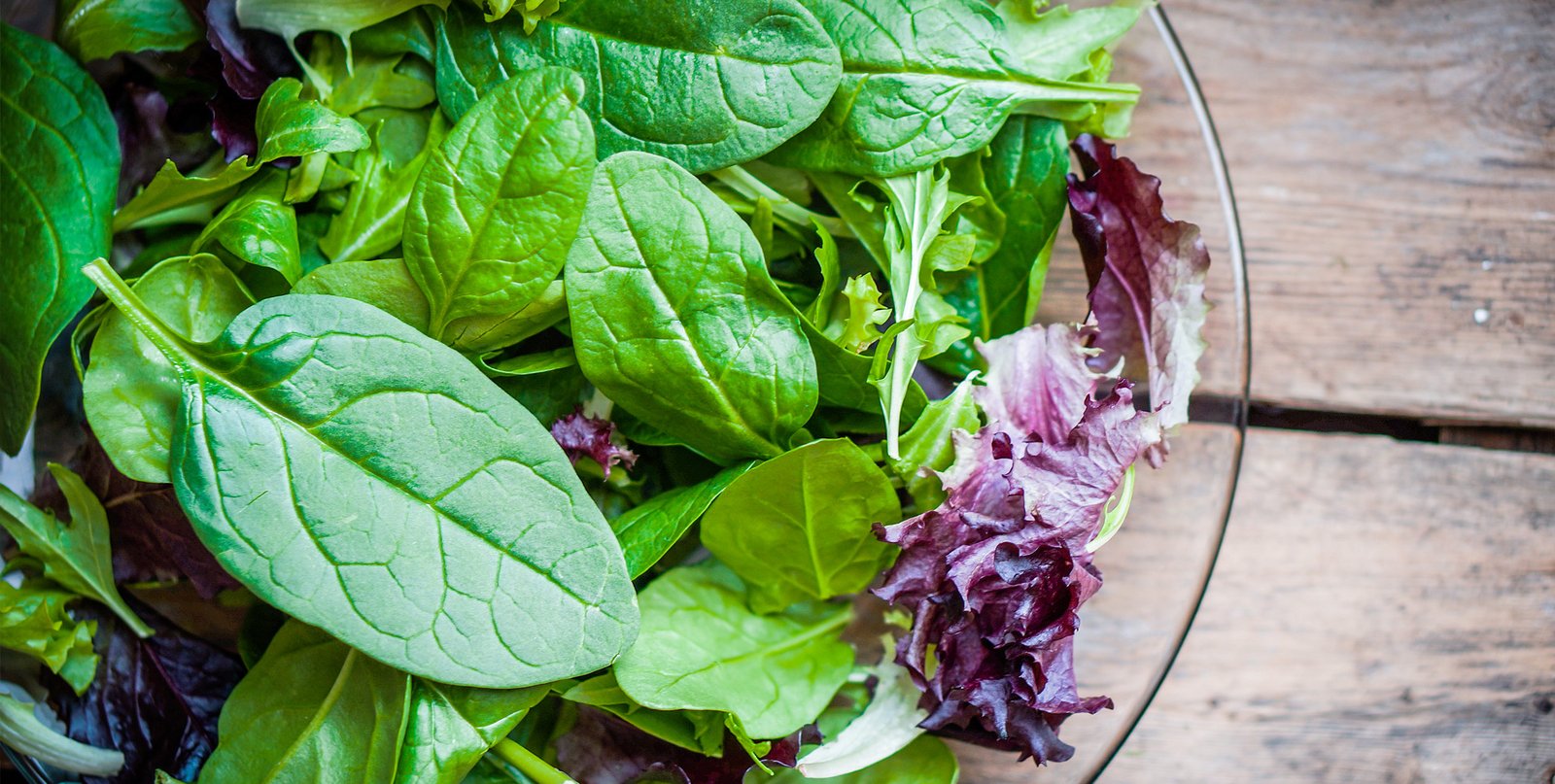 Salat aufbewahren leicht gemacht