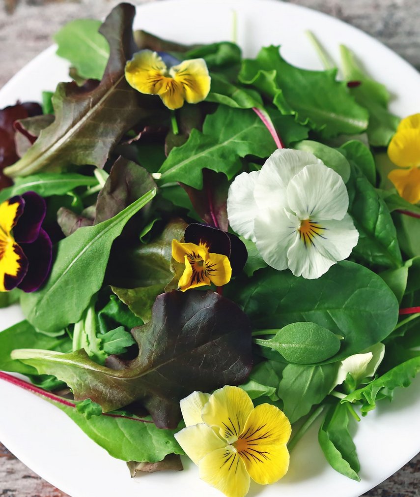 Essbare Blüten und Kräuter