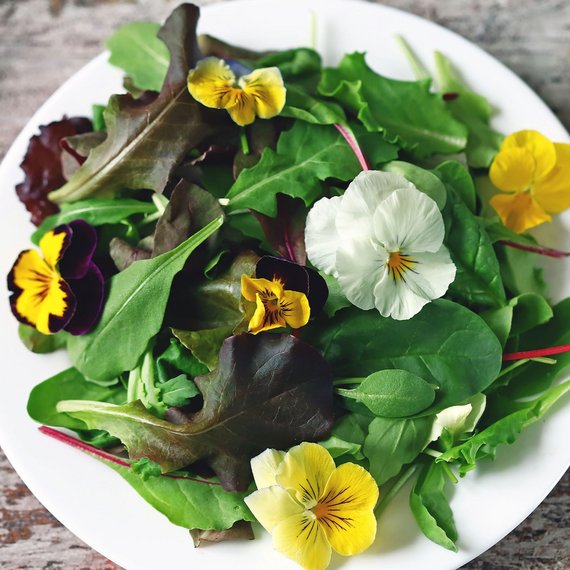 Essbare Blüten und Kräuter
