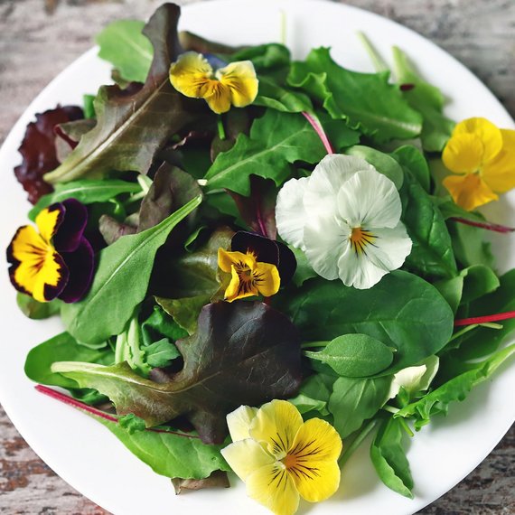 Essbare Blüten und Kräuter