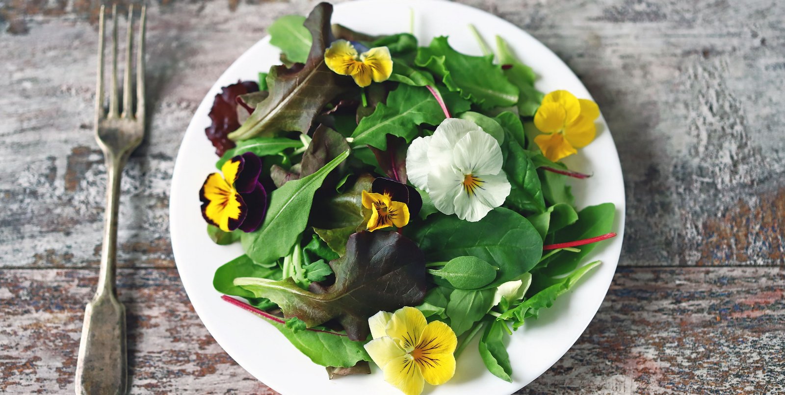 Essbare Blüten und Kräuter