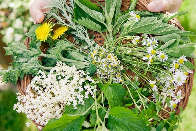 Superfoods – doch nicht so super? - Bild 2