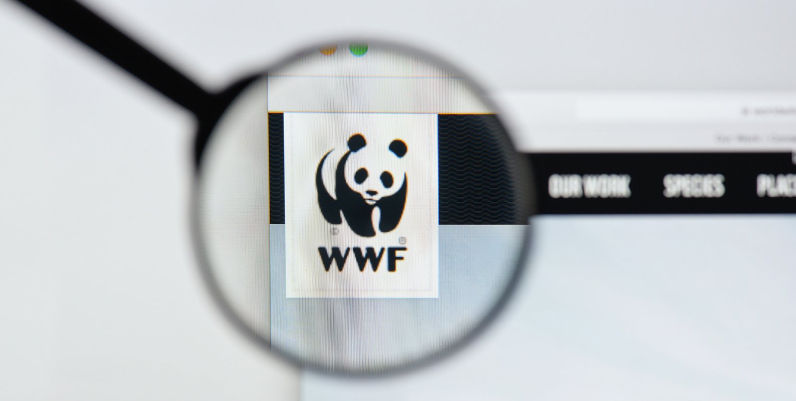 WWF-Petition