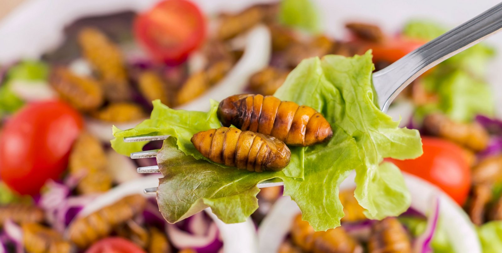 Insekten essen