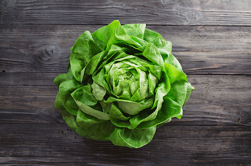 Salat aufbewahren leicht gemacht - Bild 1