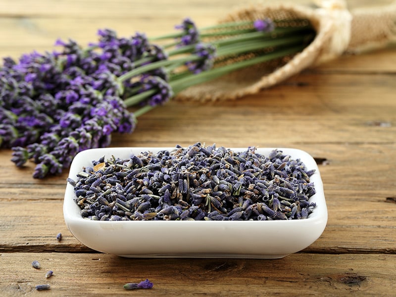 Lavendel