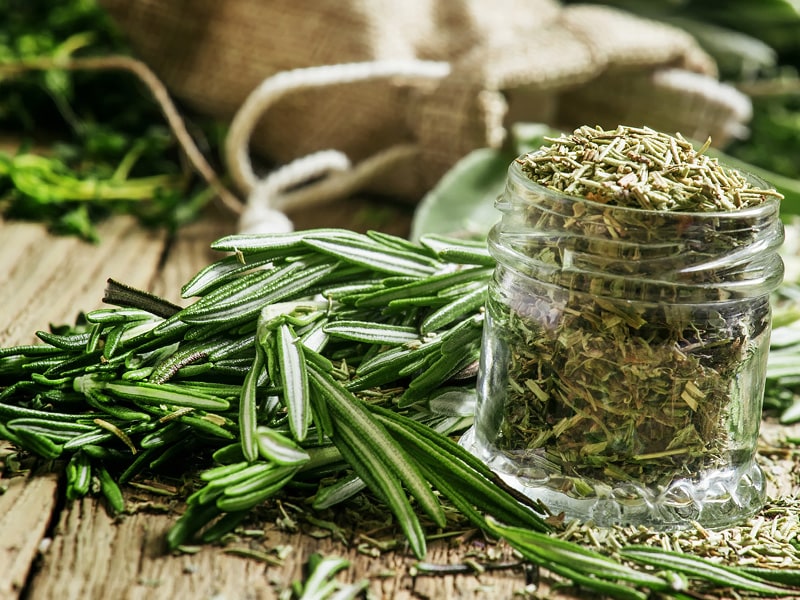 Rosmarin (Rosmarinus officinalis)